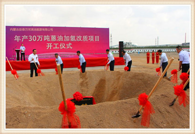 主席臺上的各位領(lǐng)導(dǎo)同擎金鍬,為安泰萬河項目培土奠基